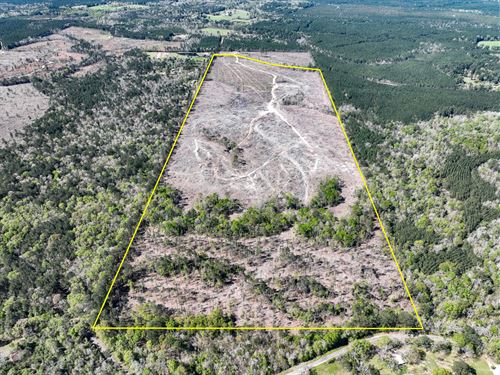 Buna Texas Subdivision Land for Sale : LANDFLIP