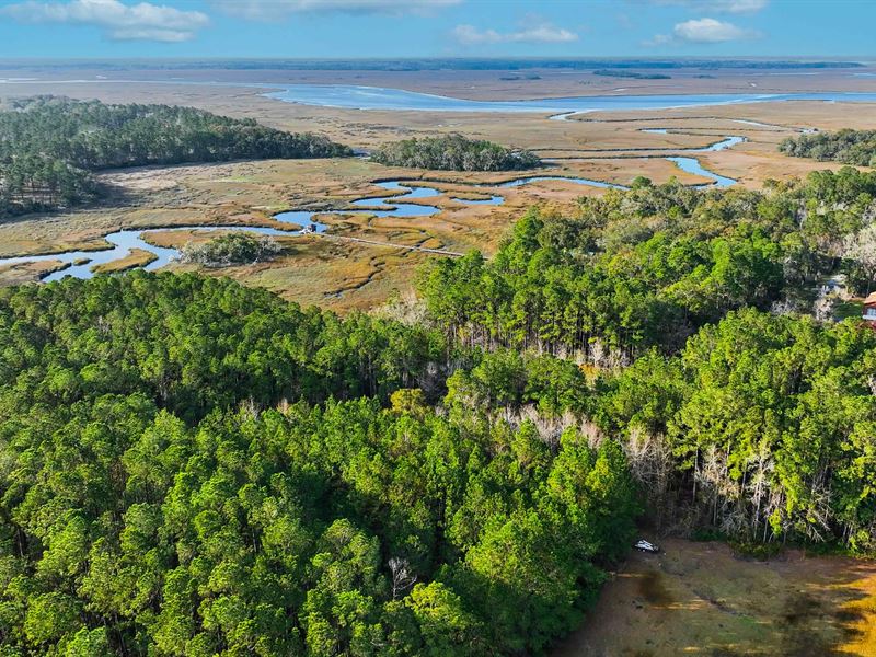 1.01 Acre in McIntosh County, GA : Townsend : McIntosh County : Georgia