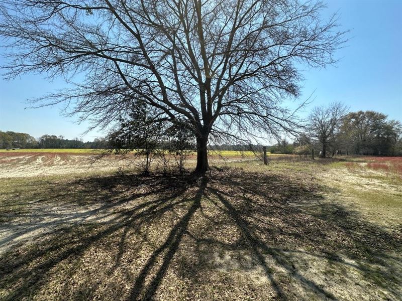 Seaborn Farm, Tract 1 : Bulloch : Bulloch County : Georgia