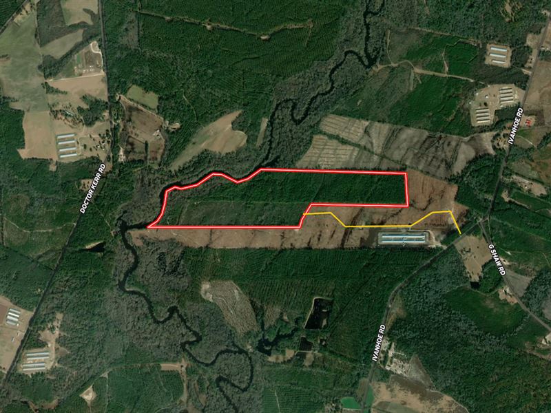 Updated, 137.18 Acres of Riverfron : Ivanhoe : Sampson County : North Carolina