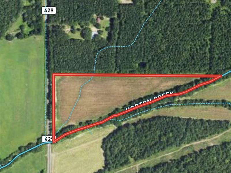 Great Hunting, Near Amenities : Sallis : Attala County : Mississippi