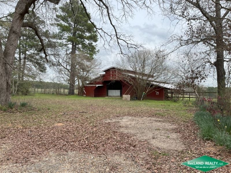 188 Ac Cattle Farm & Home : Castor : Bienville Parish : Louisiana