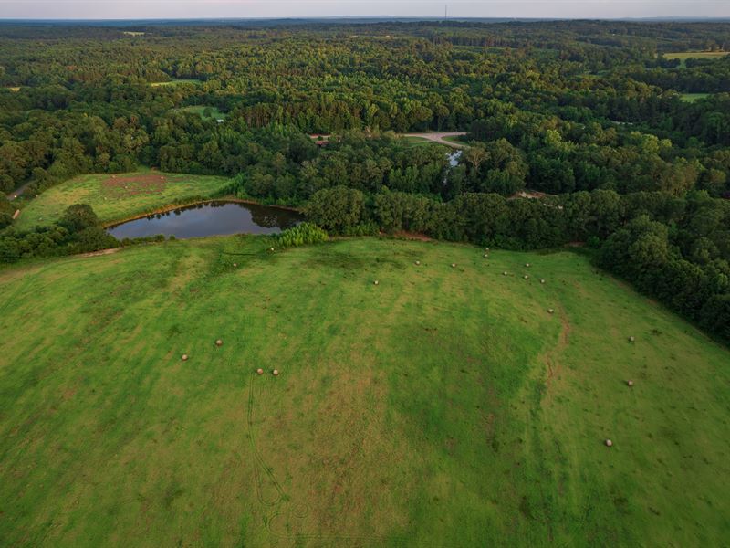 Beautiful 12 Acre Pasture, Pond : Griffin : Spalding County : Georgia