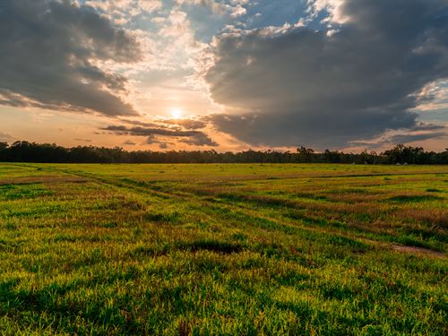 Spalding County Georgia Land for Sale : LANDFLIP