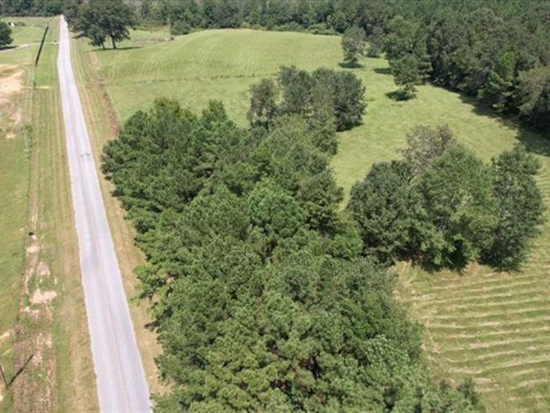 27 Acres in Newton County in Lawren : Lawrence : Newton County : Mississippi