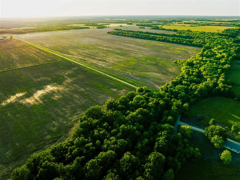 Farm and Recreational Land NE TX : Clarksville : Red River County : Texas