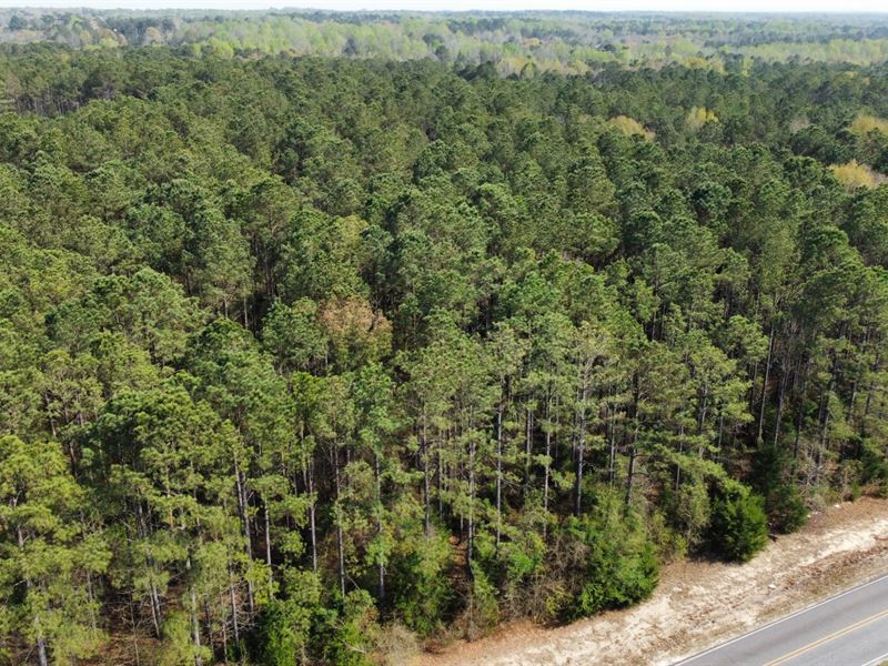 3 Acres Lee Co : Opelika : Lee County : Alabama