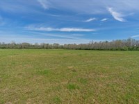Beautiful 3 Acre Homesite Lot in Gr : Greenville : Butler County : Alabama