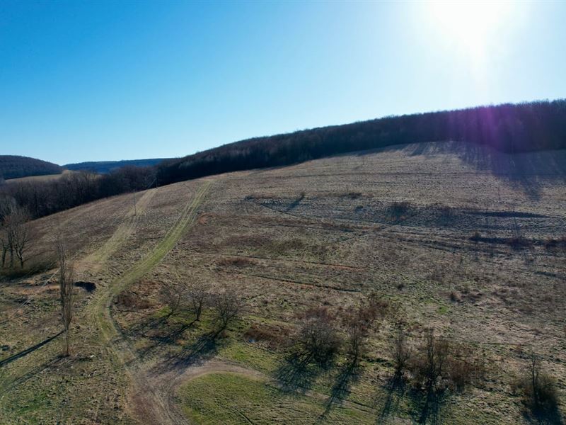 Mountain Rd, Fayette County, 138 : Mill Run : Fayette County : Pennsylvania