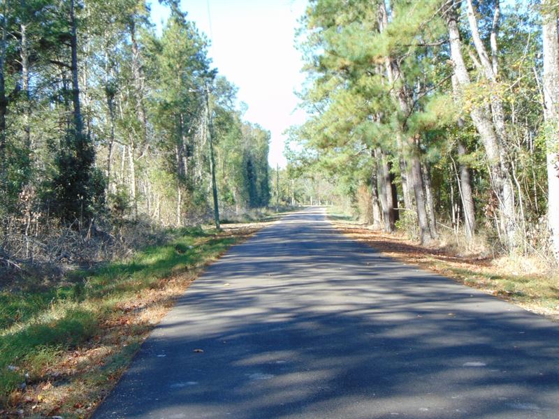 95 Lehr Crossing Rd Tract : Tylertown : Walthall County : Mississippi