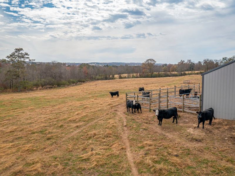 26.32 Acres Pasture, Big Shop : Boaz : Marshall County : Alabama