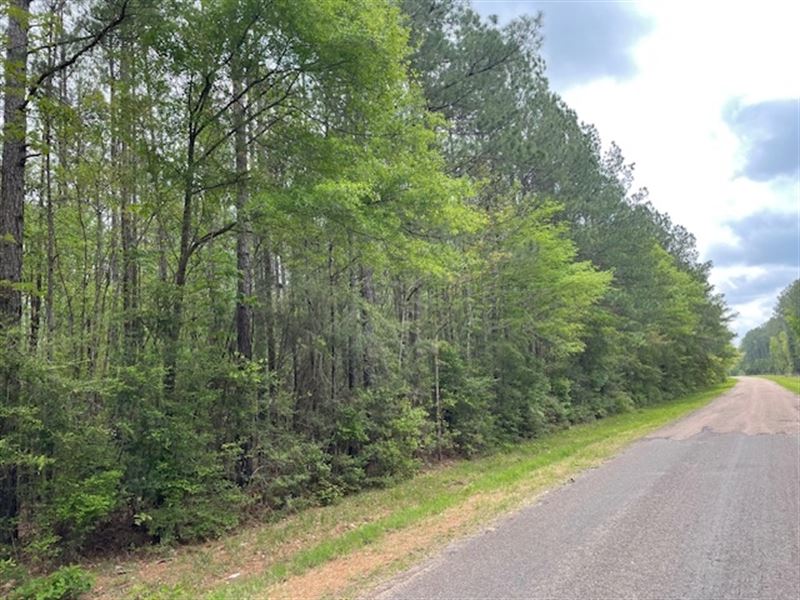 62.25 Ac Centerville Rd : Magnolia : Pike County : Mississippi