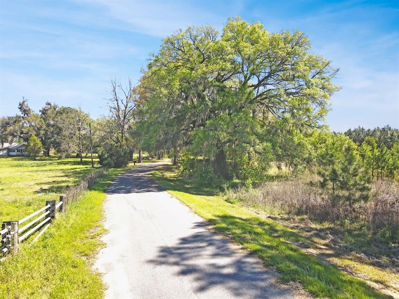 Kelly Farm Rd, Lot 2 : Havana : Gadsden County : Florida