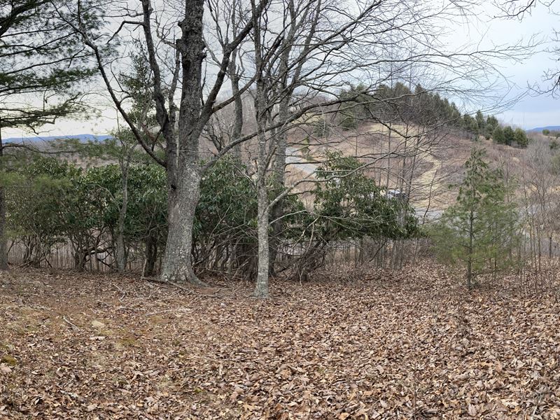 Prime RV Mountain Land : Grassy Creek : Ashe County : North Carolina