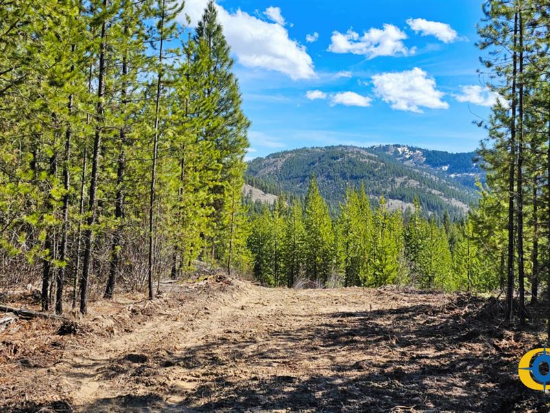 Houghton Creek Ranch : Libby : Lincoln County : Montana