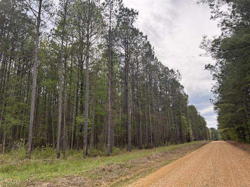 Oktibbeha 25Ac Watt Hill Rd : Starkville : Oktibbeha County : Mississippi