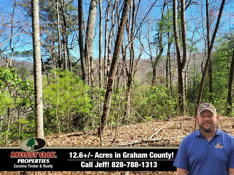 12.62 Acres Bordering U.S. Fores : Robbinsville : Graham County : North Carolina