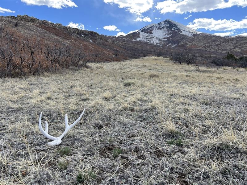 Big Horn Rd, Walsenburg, Co 810 : Walsenburg : Huerfano County : Colorado