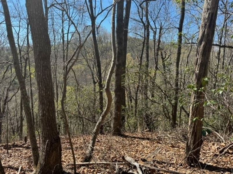 Lot 17, 5.8 Acres On Hidden : Landrum : Greenville County : South Carolina