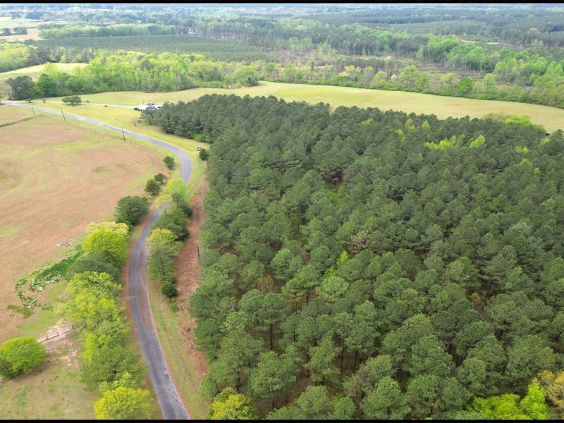 63.79 Acres in Winston County in Lo : Louisville : Winston County : Mississippi