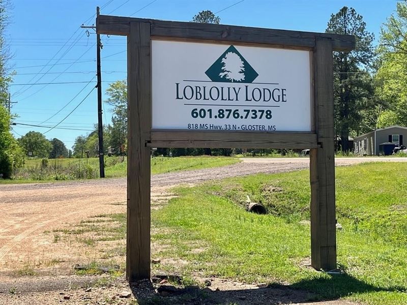 Turnkey Motel and RV Park for Sale : Gloster : Amite County : Mississippi