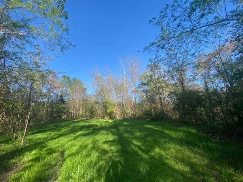 25 Wooded Acres, Mature Hardwoods : Lorman : Jefferson County : Mississippi