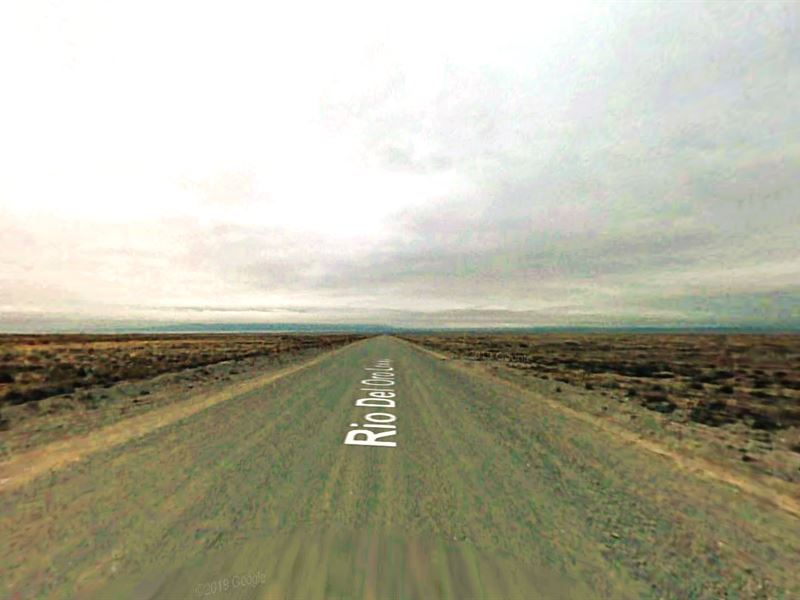 Vast Expanse of Open Land : Los Lunas : Valencia County : New Mexico