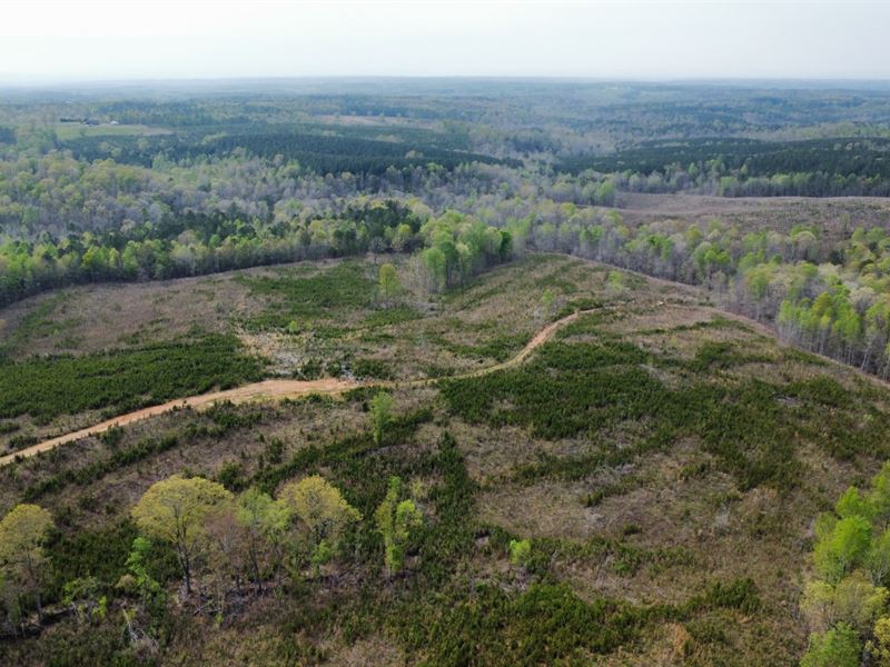 107 Acres Randolph County : Woodland : Randolph County : Alabama