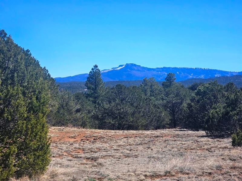 32 Colorado Mountain Lake Estates : Trinidad : Las Animas County : Colorado