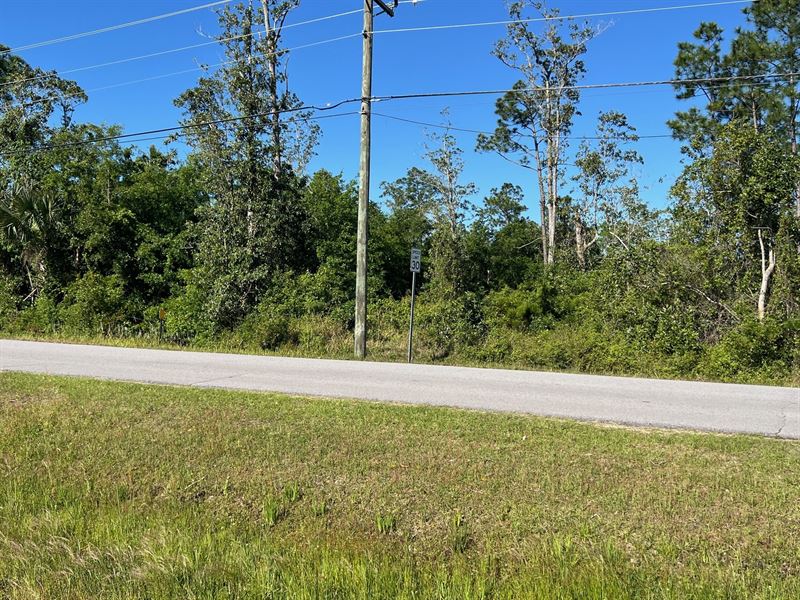 12.56 Acres of Residential Acreage : Panama City : Bay County : Florida