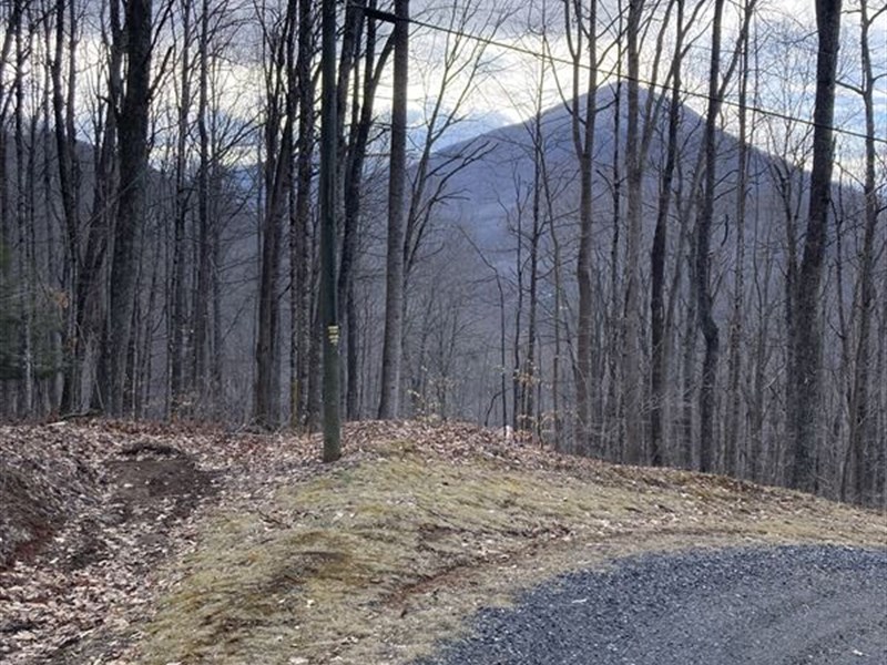 Road Access, NC Mountain Land : Creston : Ashe County : North Carolina