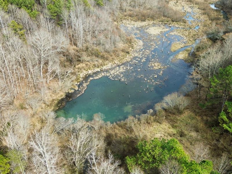 Dry Creek Farm : Winfield : Marion County : Alabama