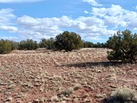 Sep Sale 2.1 Acres AZ Just $45 Down : Concho : Apache County : Arizona