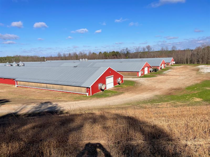 4 House Broiler Farm : Woodland : Randolph County : Alabama