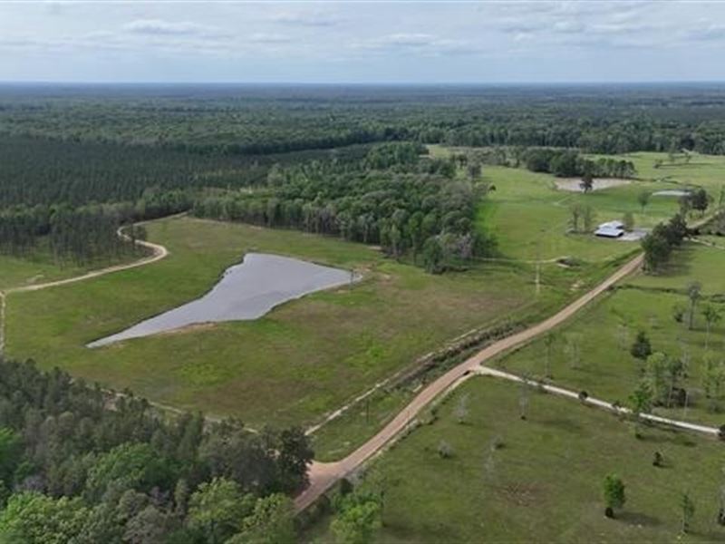 390 Acre High Fence Hunting Propert : Olla : La Salle Parish : Louisiana