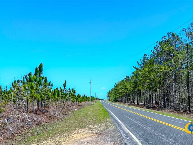 Providence Road Tract : Kershaw : Kershaw County : South Carolina