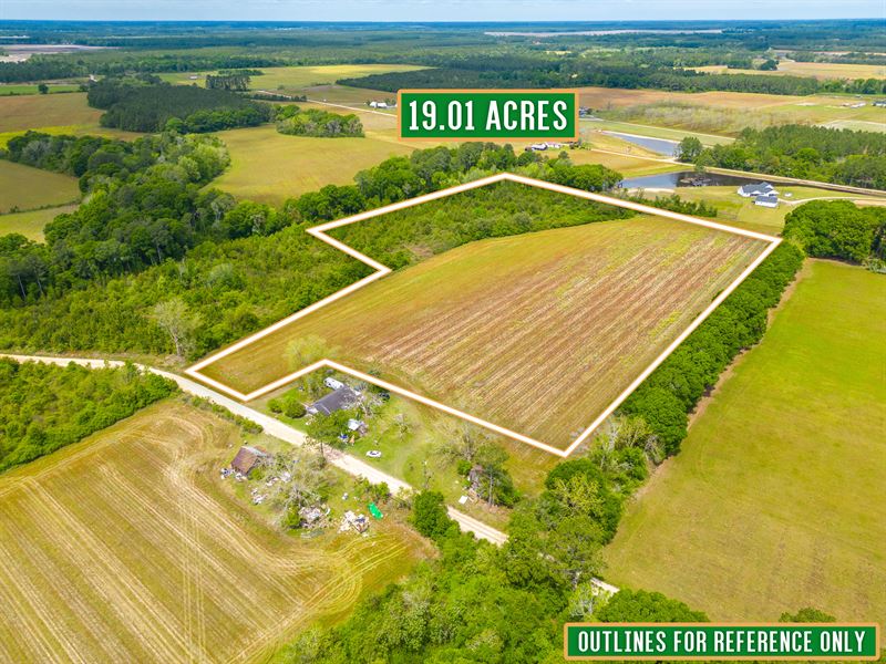 19+/- Acres on Drum Drive : Nicholls : Bacon County : Georgia