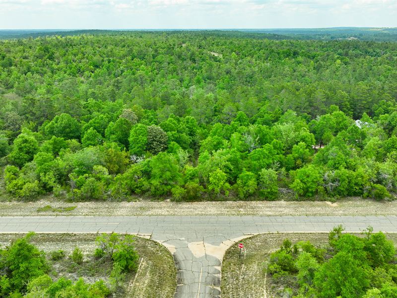 Deserve Sunny Days in Sunny Hills : Chipley : Washington County : Florida