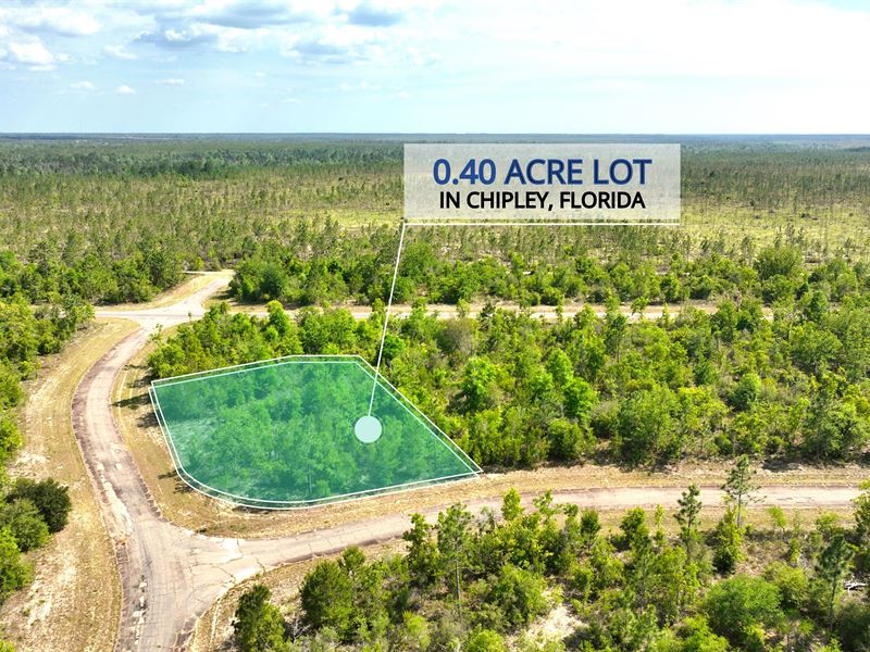 Build Near The Gulf of Mexico : Chipley : Washington County : Florida