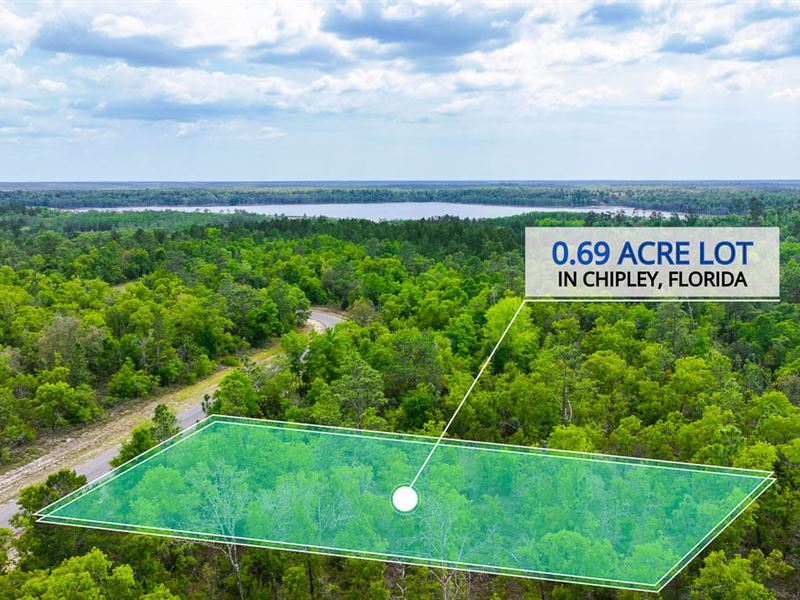 Huge 0.69 Acre FL Lot is Awaiting : Chipley : Washington County : Florida