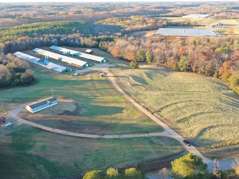 Reduced, Ledbetter Broiler Farm : Hackleburg : Marion County : Alabama