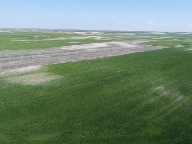 487 Acres, Banner County, Mosher : Harrisburg : Banner County : Nebraska