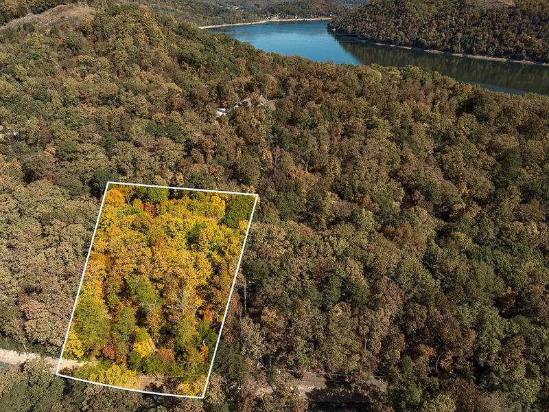 1 Acre Private, Dream Homesite : Mooresburg : Hawkins County : Tennessee