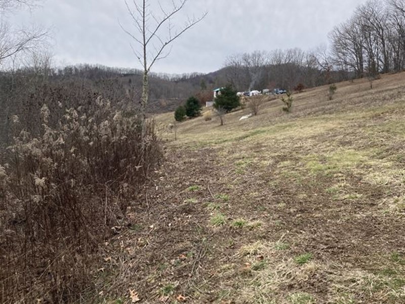 Build a Cabin in Ashe County, NC : Grassy Creek : Ashe County : North Carolina