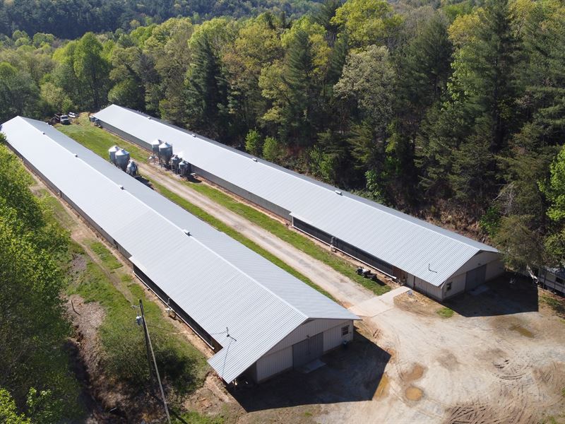 2 House Breeder Poultry Farm : Ellijay : Gilmer County : Georgia