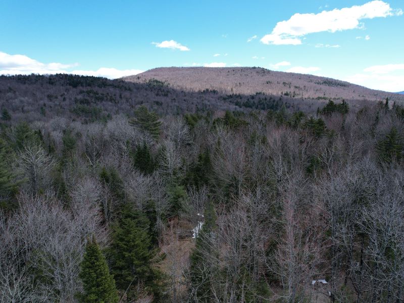 Cox Brook Headwaters : Moretown : Washington County : Vermont