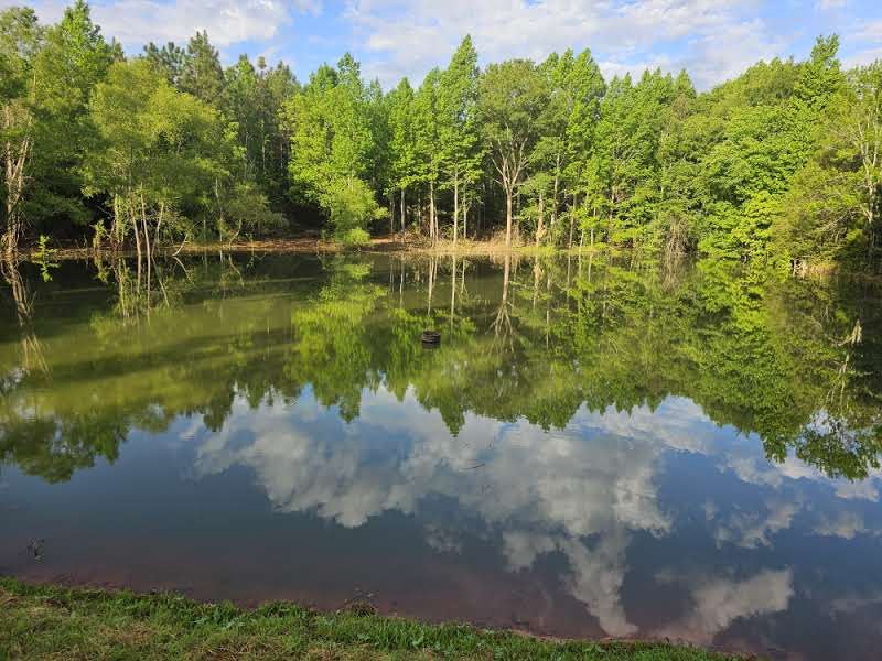 The Front 40 Acres : Brundidge : Pike County : Alabama