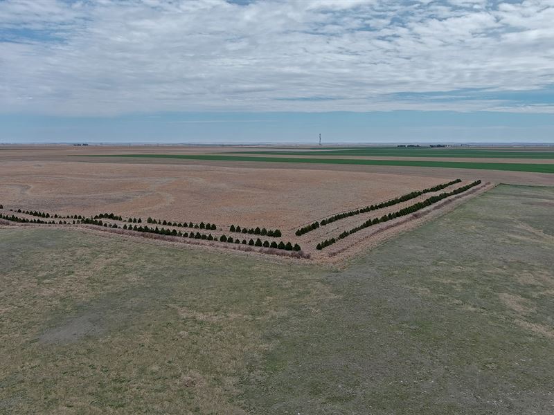 Timm Crp & Pasture : Chappell : Deuel County : Nebraska