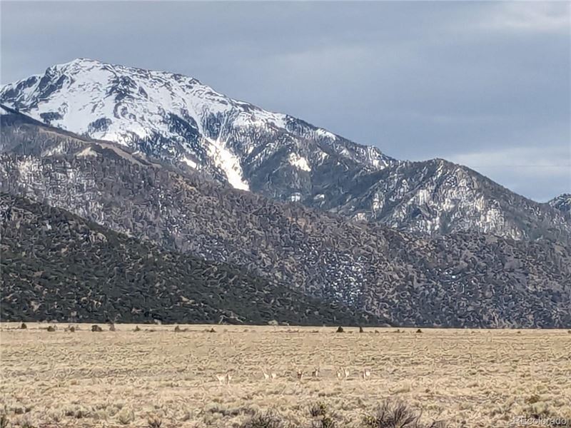 Creekside Acreage on 35+ Acres : Moffat : Saguache County : Colorado