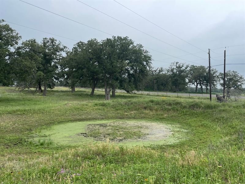 Horsin' Around Ranch : Stockdale : Wilson County : Texas